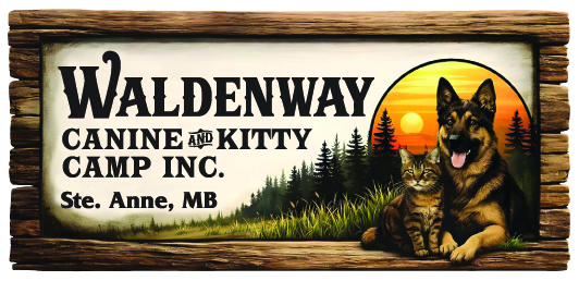 Waldenway Canine Camp